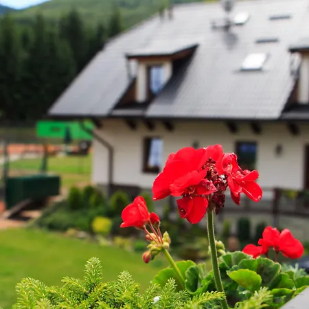 Na Doline Hotell Frenštát pod Radhoštěm